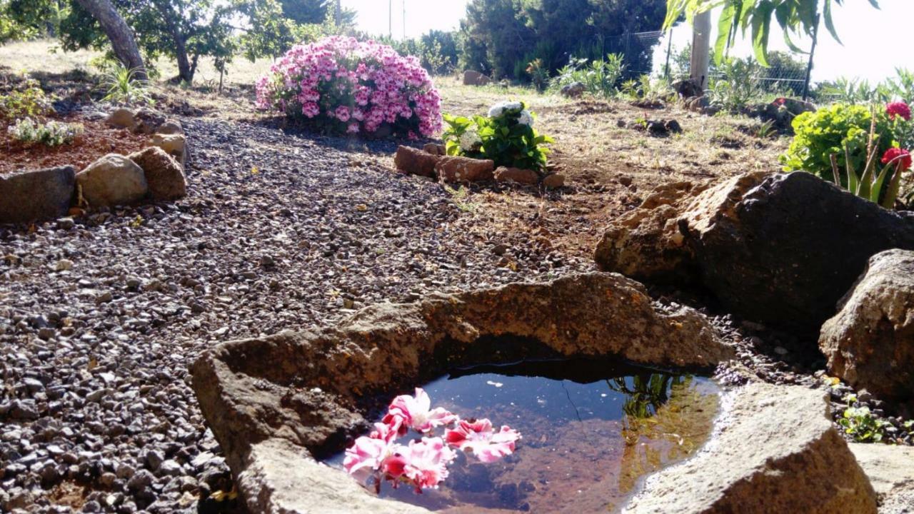 Гостьовий будинок El Limonero Garafia Екстер'єр фото