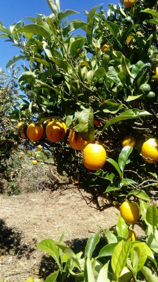 Гостьовий будинок El Limonero Garafia Екстер'єр фото